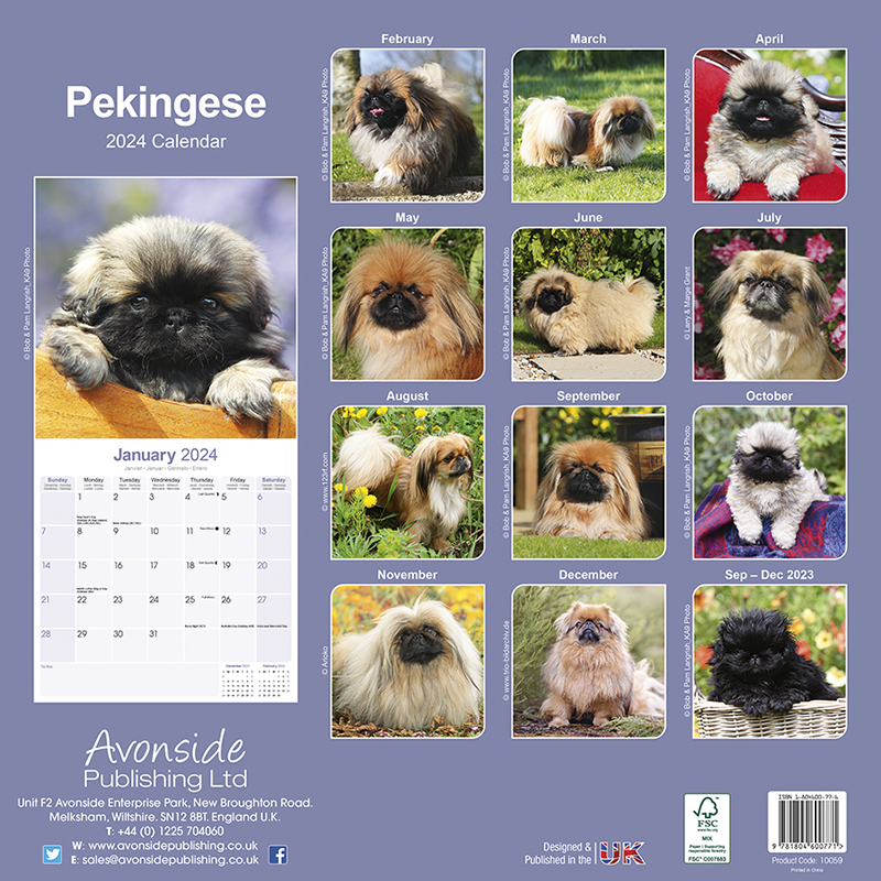 Pekingese Calendar 2024 (Square) Dogs Naturally